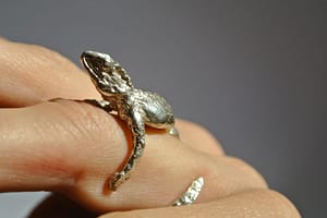 water dragon ring, Liplivive made in solid sterling silver by quirine van nispen